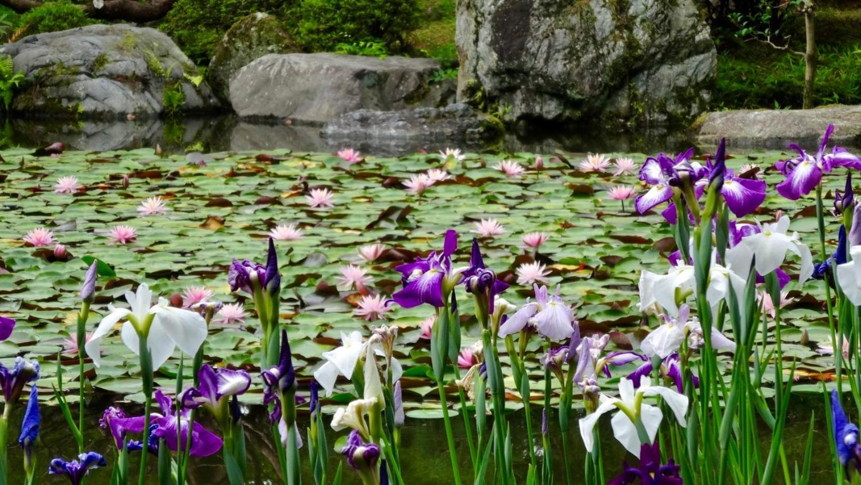 カモンイン 東寺東 Kyoto Exteriör bild
